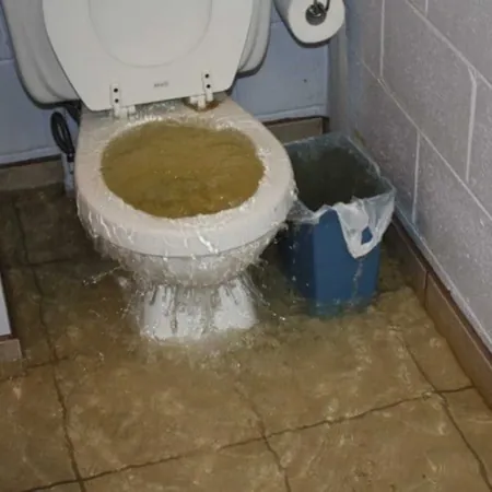 Sewage Cleanup Lima